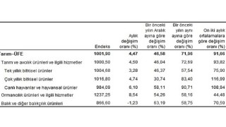 Tarım ürünleri üretici fiyat endeksi (Tarım-ÜFE) yıllık yüzde 71,96, aylık yüzde 4,47 arttı