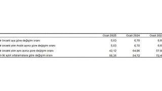 Tüik: Tüketici fiyat endeksi (TÜFE) yıllık %42,12, aylık %5,03 arttı