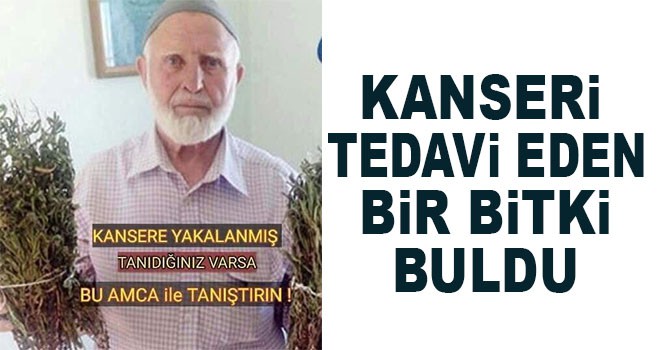 Kanseri kendi yaptığı özel karışımla yendi