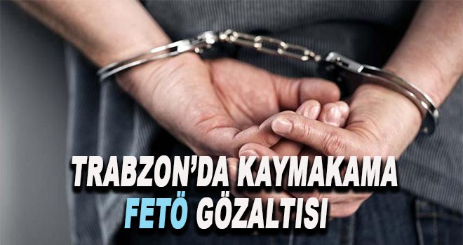 Kaymakam'a FETÖ'den gözaltı