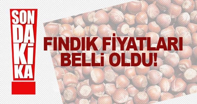 Fındık Fiyatları ne kadar oldu?