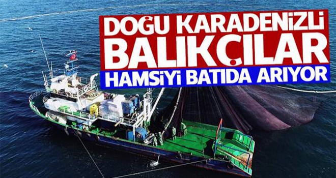 Doğu Karadenizli balıkçılar hamsiyi batıda arıyor