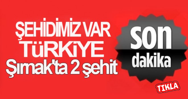 Kahreden Haber! 2 Askerimiz Şehit Düştü