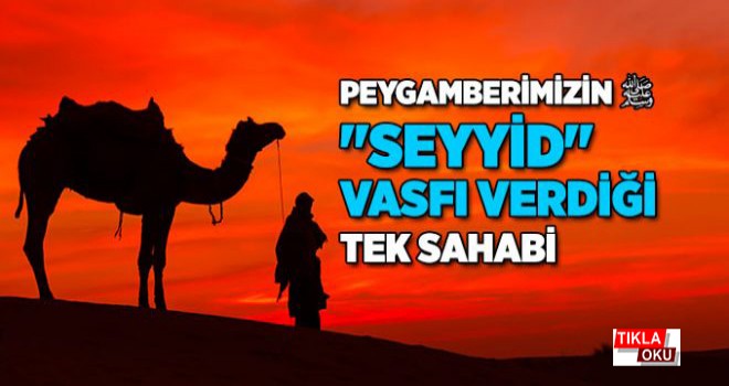 Peygamber Efendimiz’in “Benim bu oğlum seyyiddir (efendidir)” dediği sahabi kimdir?