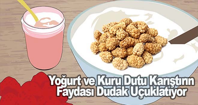 Yoğurt ve Kuru Dutu Karıştırın