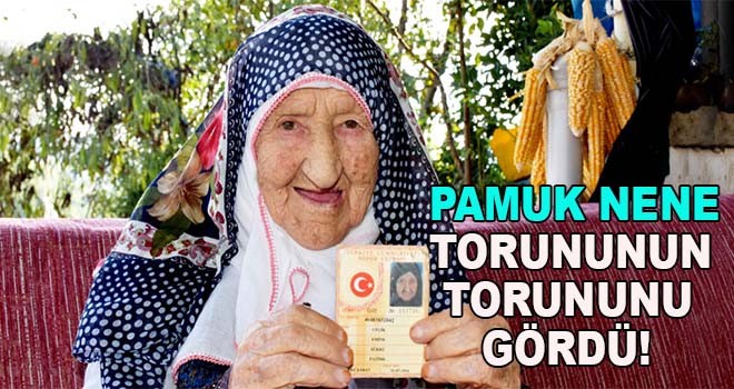 Trabzon'un asırlık çınarı "Pamuk Nene"