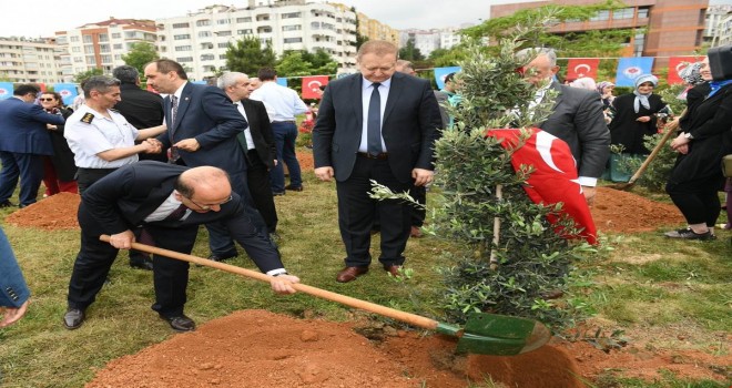 Trabzon'da Afrin Şehitleri Anısına Hatıra Ormanı Oluşturuldu