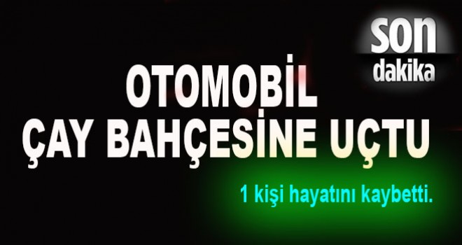 Otomobil Çay Bahçesine Uçtu!