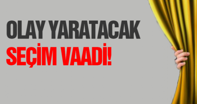 İYİ Parti'den ilginç seçim vaadi!