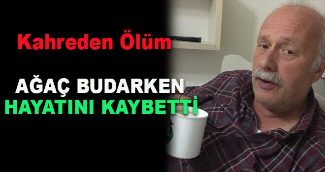 Ağaç Budarken Kalp Krizi Geçiren Kişi Öldü