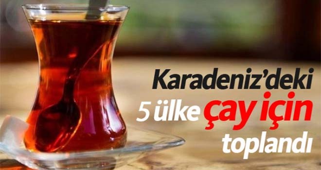 5 ülke çay için bir araya geldi