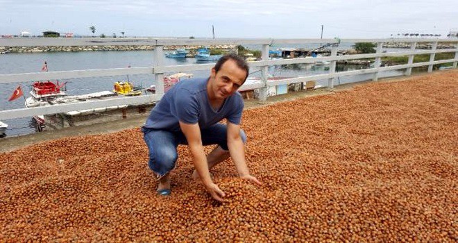 Fındık ile ilgili çok ciddi uyarı: Vermeyin