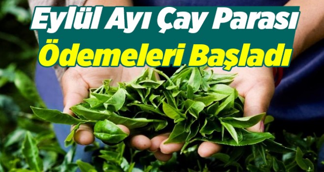 ÇAYKUR Eylül Paraları Ödeniyor!