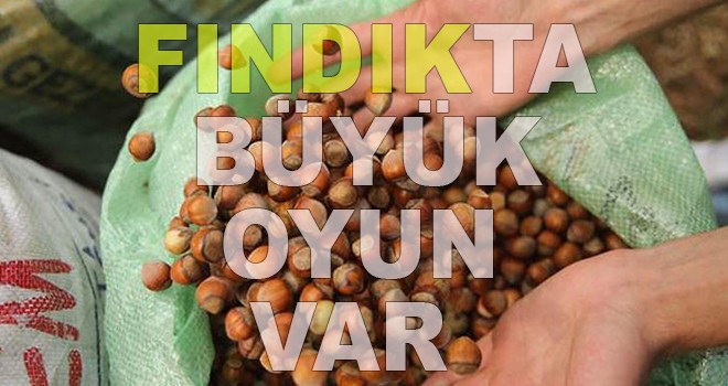 Fındık üreticide 12, raflarda 65 lira