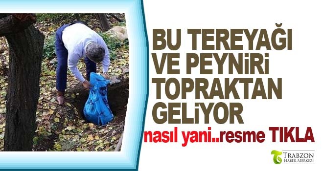 Tereyağı ve peyniri neden toprağın altından