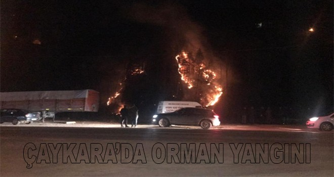 Çaykara 'da orman yangını