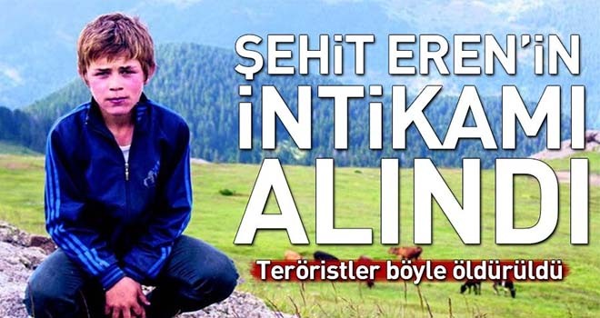 Eren Bülbül'ü şehit eden teröristler öldürüldü