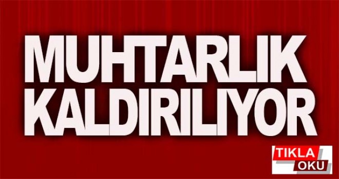 Devlet Bahçeli, Muhtarlıklar kaldırılsın