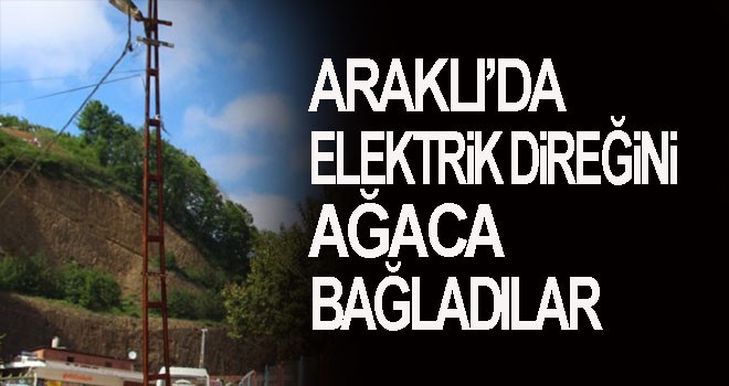 Trabzon’da elektrik direğine ilginç çözüm