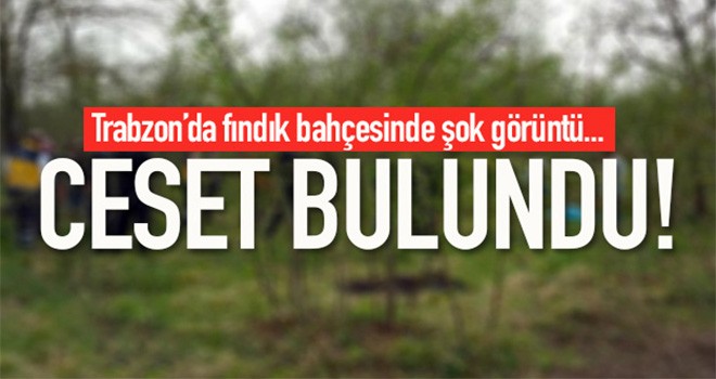 Fındık bahçesinde ölü bulundu