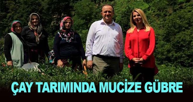 Çay Tarımında Üç Kat Verim Elde Edilen Gübre Bulundu