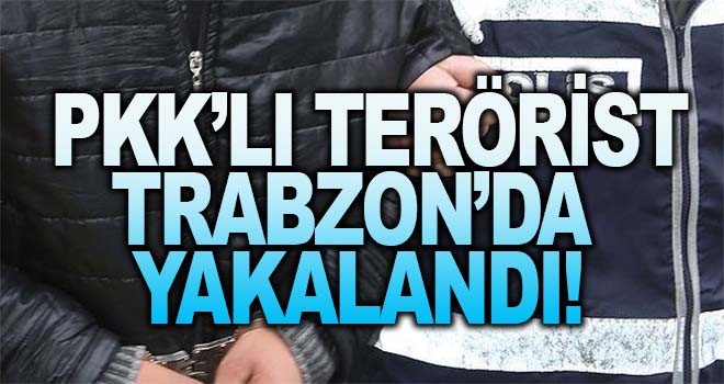 PKK'lı terörist Trabzon'da yakalandı